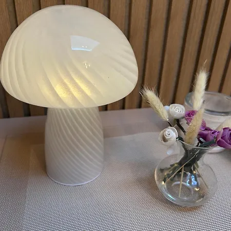 Gaestezimmer Am Lippesee - Apartements Mit Kueche - Netflix -perfekt Fuer Langzeitaufenthalt *